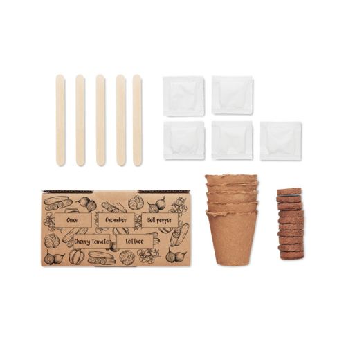 Salad growing kit - Image 3